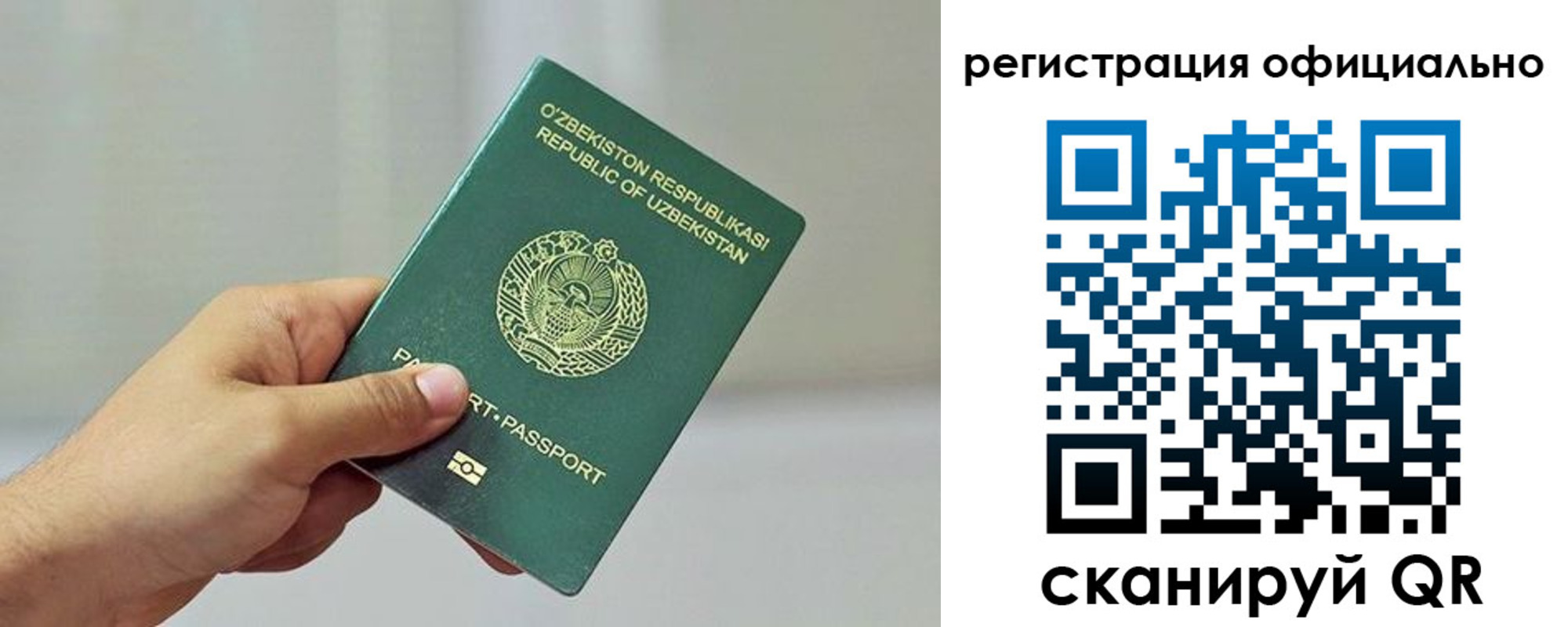 прописка в квартире в Купино