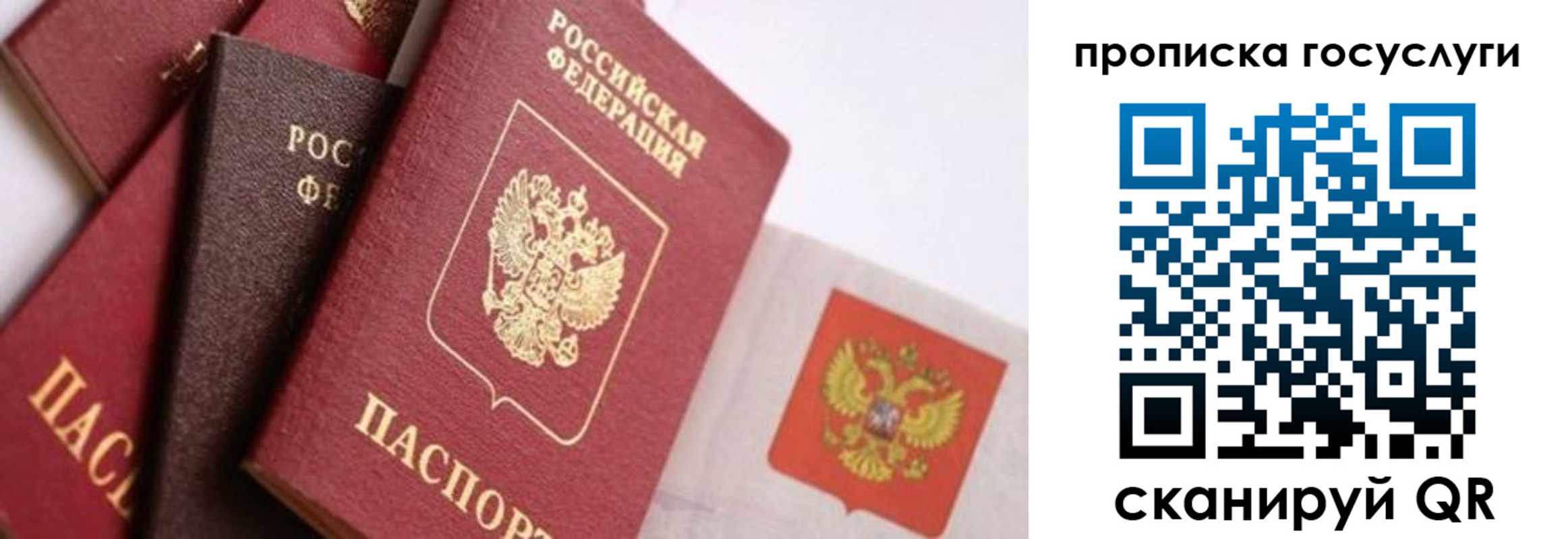 прописка законно в Купино