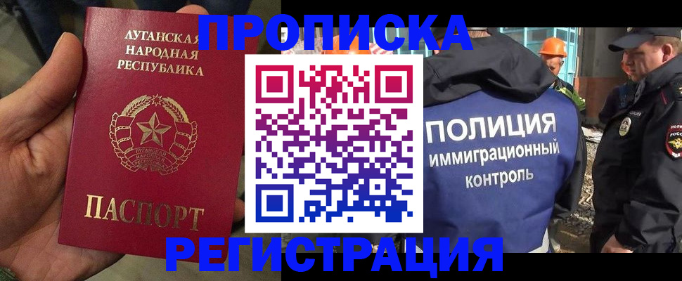 прописка поиск в Купино